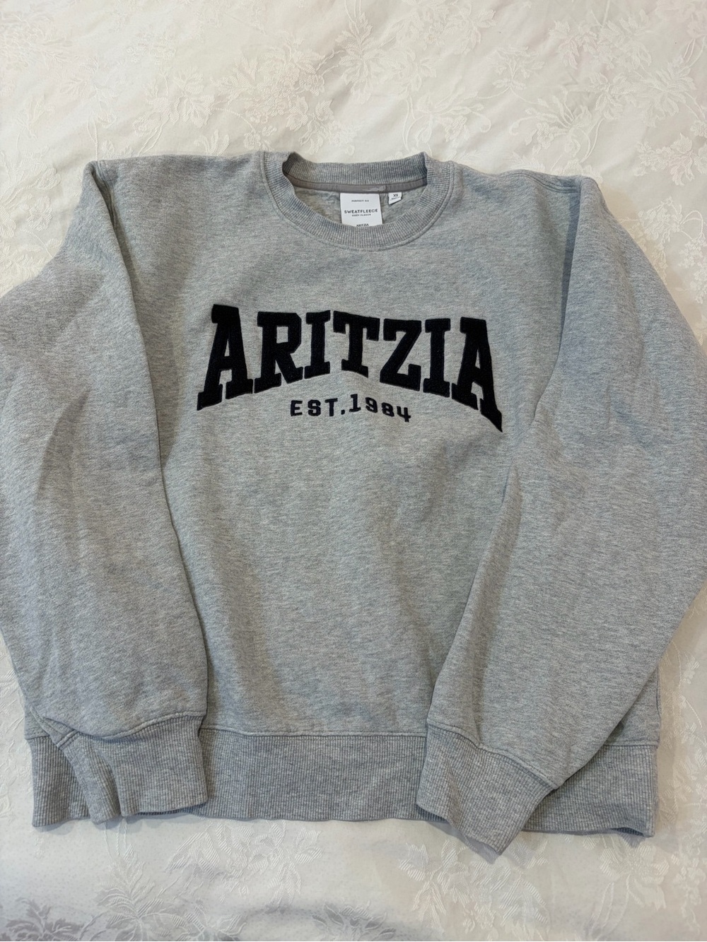 Aritzia Crewneck Sweatshirt in Light Gray with Dark Navy Logo